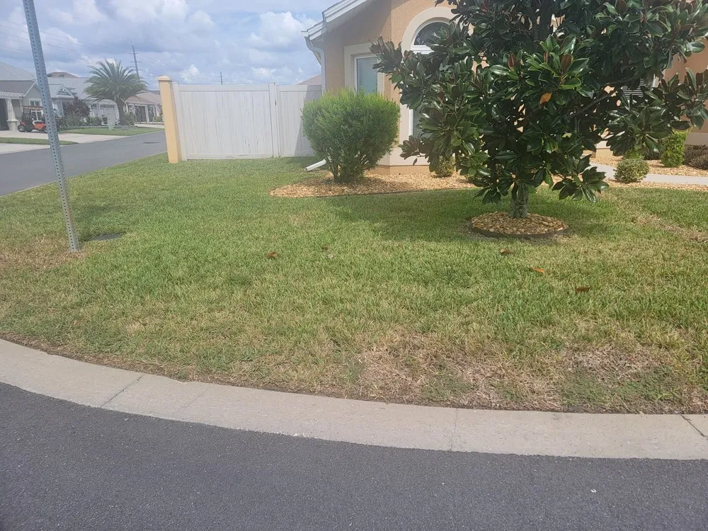 Trusted outdoor landscaping in Summerfield, FL by Athen's EC Landscaping