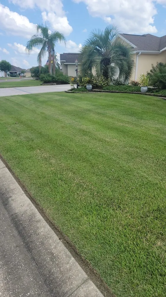 Custom yard cleanup service in Summerfield, FL - Athen's EC Landscaping