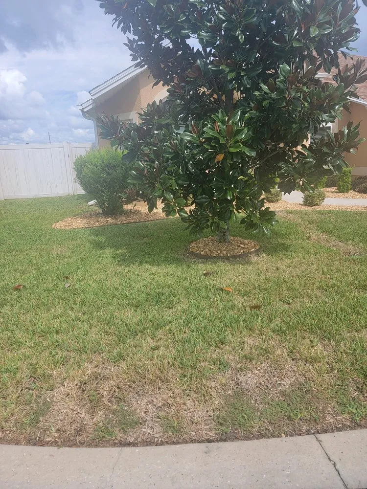 Top-rated lawn mowing service experts serving Summerfield, FL - Athen's EC Landscaping