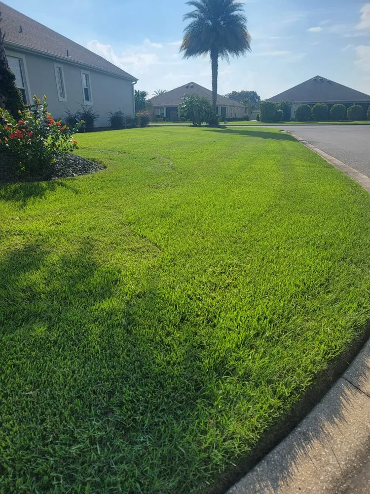 Top-rated landscape installation in Summerfield, FL by Athen's EC Landscaping