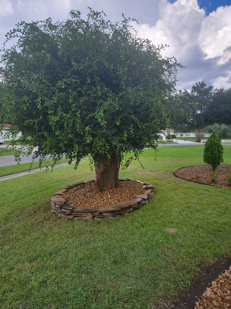 Reliable yard maintenance with custom design across Summerfield, FL - Athen's EC Landscaping