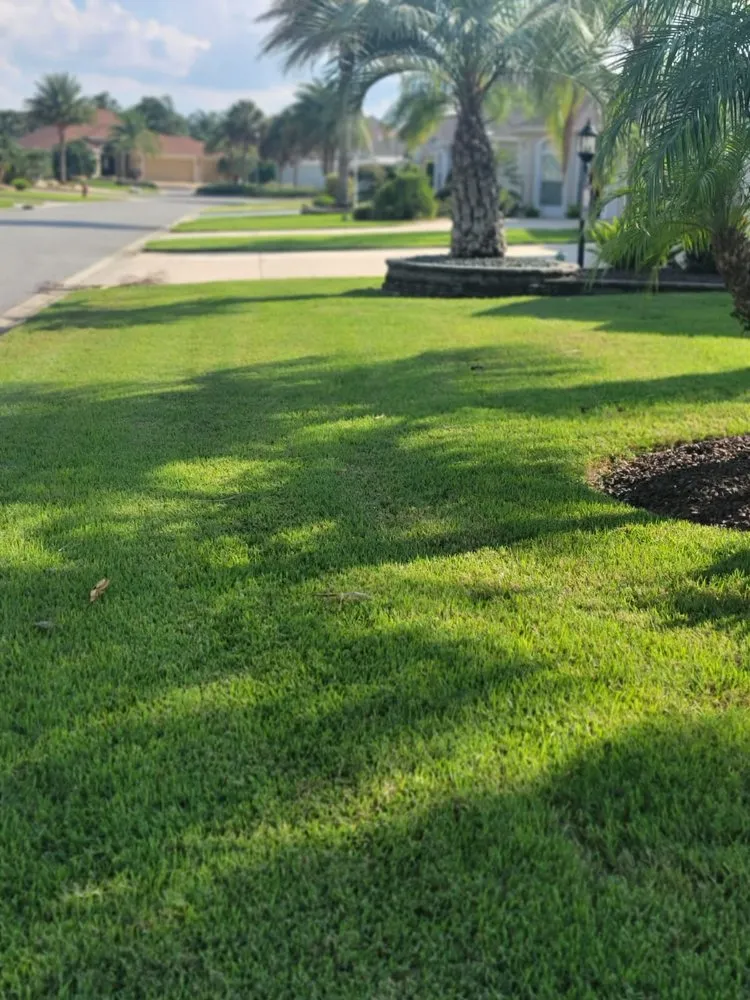 Affordable landscape installation in Summerfield, FL - Athen's EC Landscaping