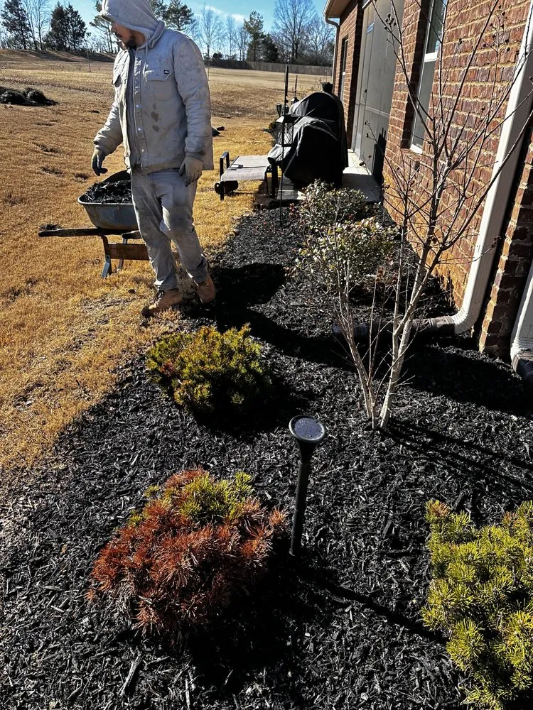 Custom yard maintenance for year-round maintenance in Athens, AL by Athens Exterior Services