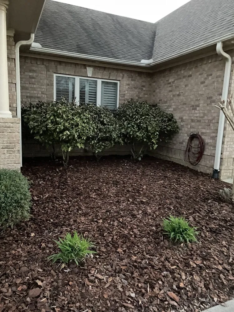 Professional outdoor landscaping experts serving Athens, AL - Athens Exterior Services