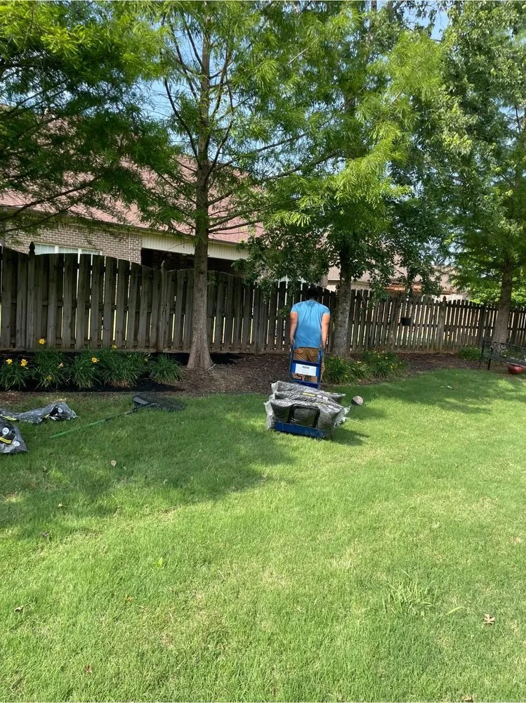 Expert yard cleanup service near you across Athens, AL - Athens Exterior Services