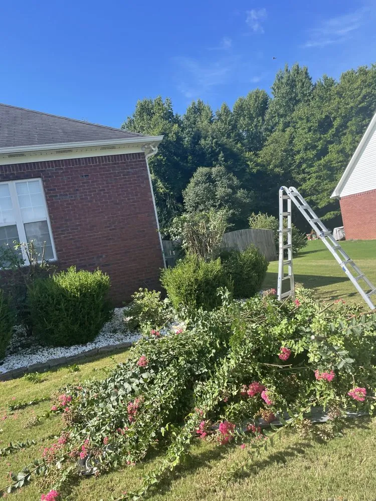 Expert outdoor landscaping for year-round maintenance in Athens, AL by Athens Exterior Services