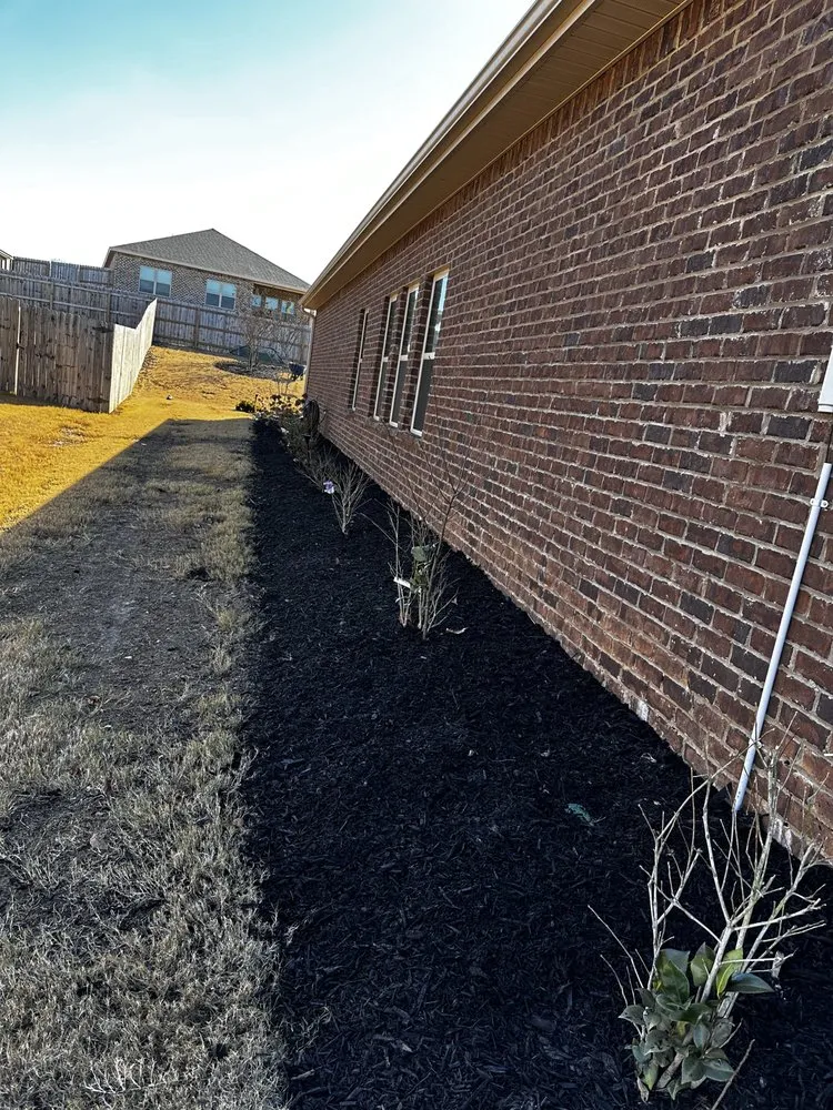 Expert yard cleanup service near you in Athens, AL by Athens Exterior Services