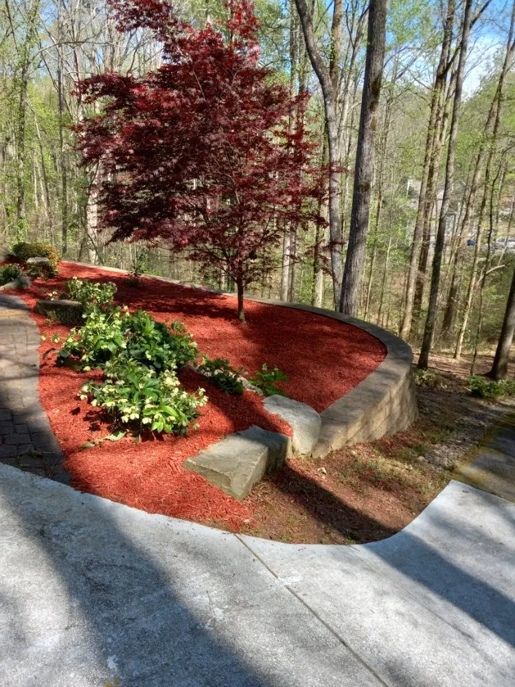 Local yard cleanup service in Gainesville, GA - Athens Landscaping and Grading Services