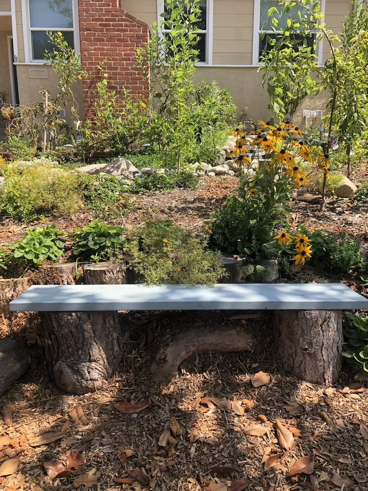 Affordable yard cleanup service in Torrance, CA by Athletic Eco Gardens