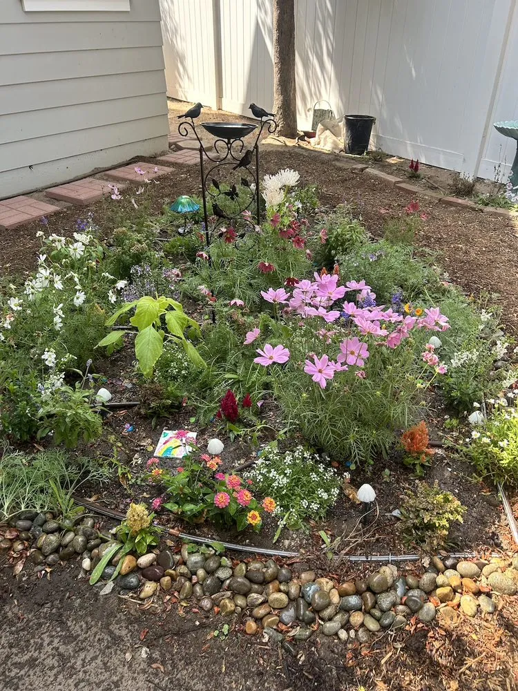 Trusted landscaping services in Torrance, CA - Athletic Eco Gardens
