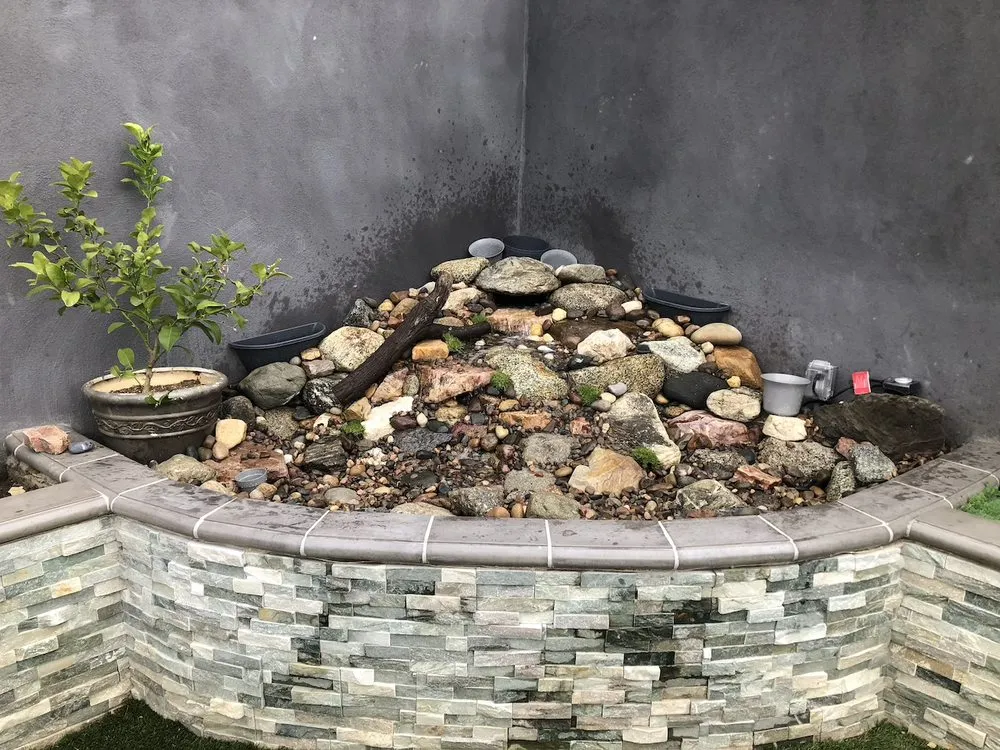 Reliable yard maintenance experts serving Torrance, CA - Athletic Eco Gardens