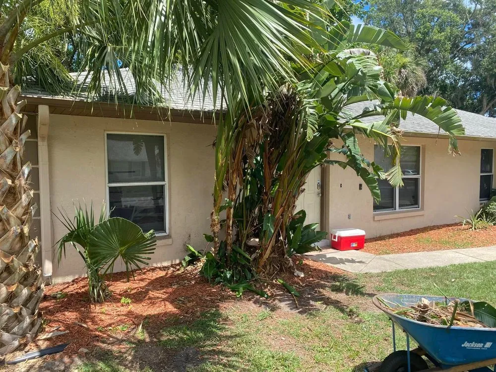 Top-rated lawn care service experts serving Daytona Beach, FL - Athletic Lawn Care