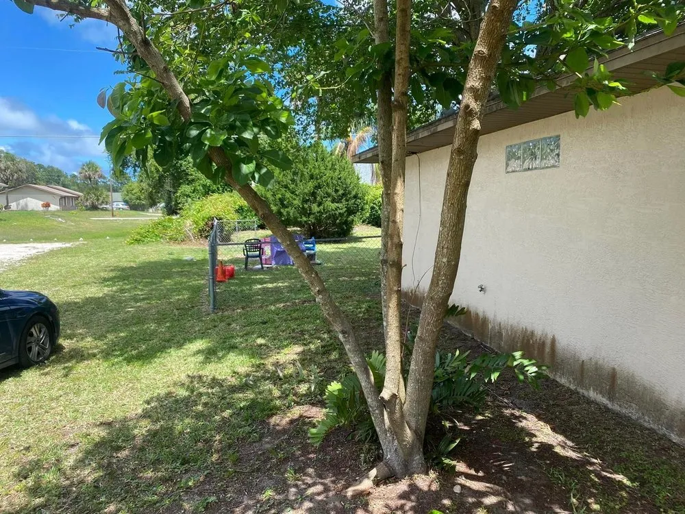 Expert lawn mowing service for homes in Daytona Beach, FL by Athletic Lawn Care