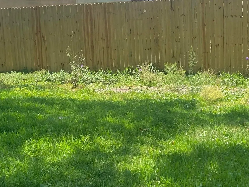 Top-rated landscape design for year-round maintenance across Daytona Beach, FL - Athletic Lawn Care