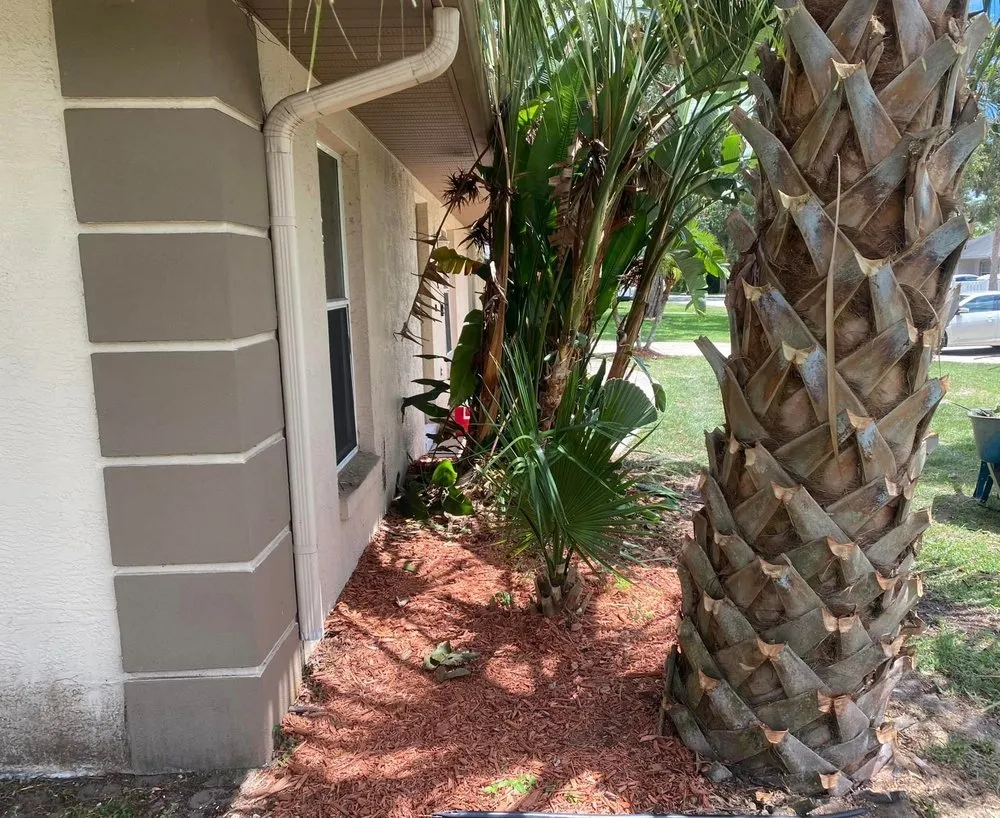 Affordable lawn care service experts serving Daytona Beach, FL - Athletic Lawn Care