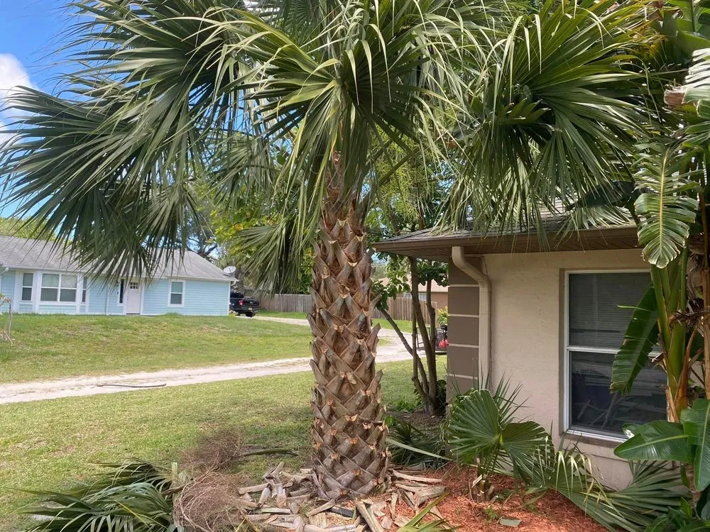 Local lawn mowing service experts serving Daytona Beach, FL - Athletic Lawn Care