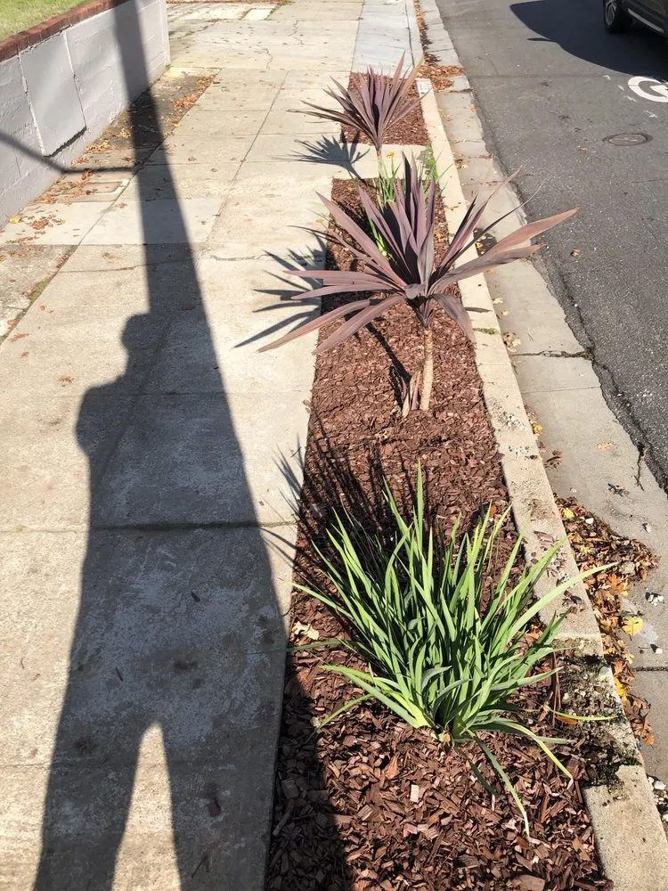 Expert lawn mowing service for homes in South San Francisco, CA by Atienza Services