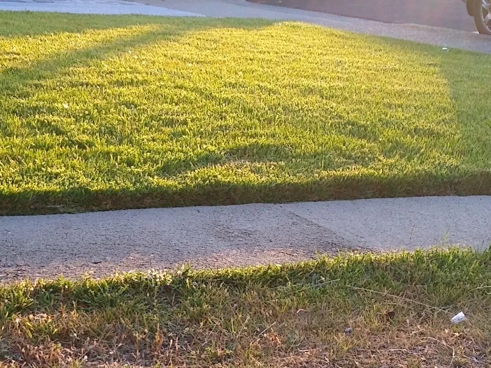 Local garden landscaping in South San Francisco, CA by Atienza Services