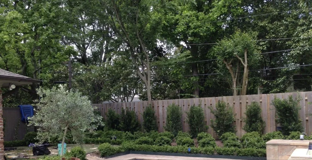 Expert outdoor landscaping for year-round maintenance across Pearland, TX - Atilano Landscaping