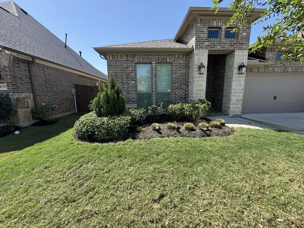 Expert yard cleanup service experts serving Pearland, TX - Atilano Landscaping