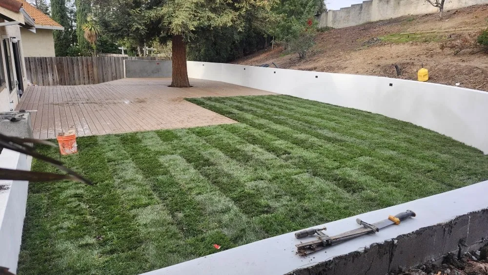 Affordable yard maintenance for year-round maintenance in San Jose, CA by Atilanos Hardscape And Landscaping