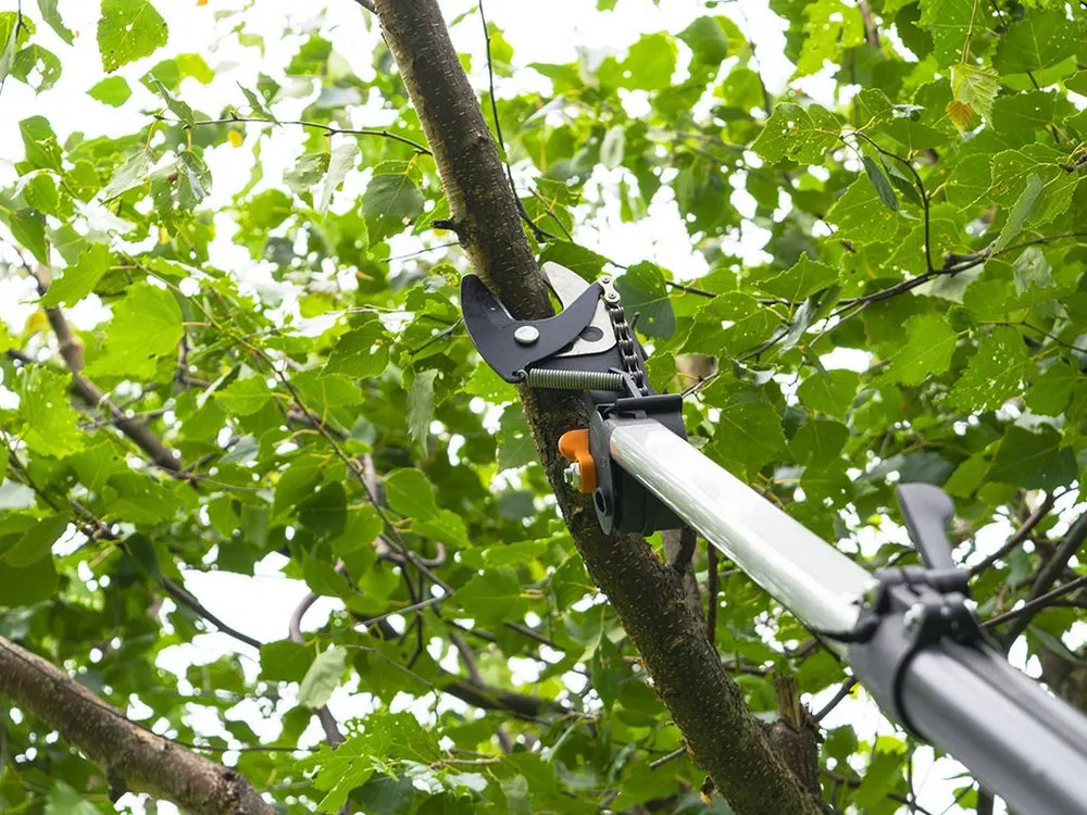 Trusted yard cleanup service with custom design in West Palm Beach, FL by Atilus Professional Landscaping