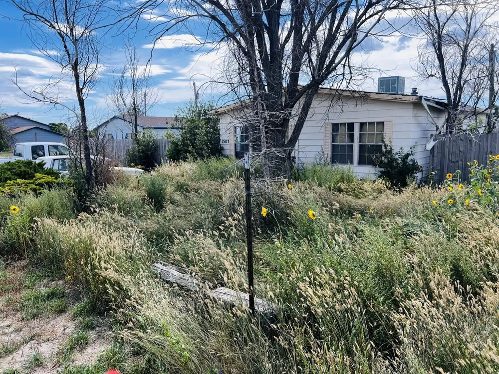 Top-rated yard maintenance in Cheyenne, WY by Atkeson Lawn Care and Snow Removal