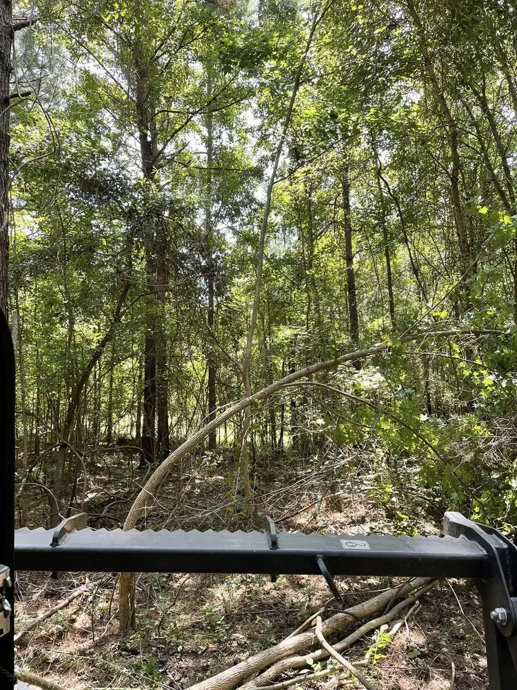 Professional lawn mowing service for outdoor upgrades across Eclectic, AL - Atkins Brush Control