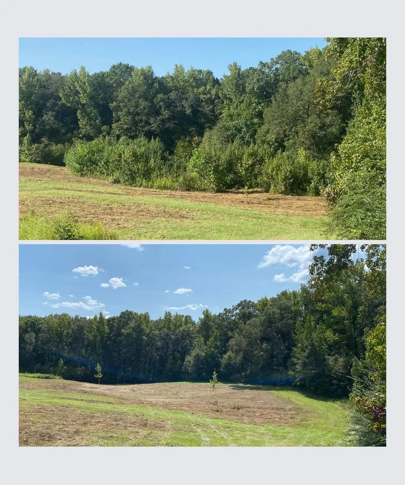Affordable lawn mowing service in Eclectic, AL - Atkins Brush Control