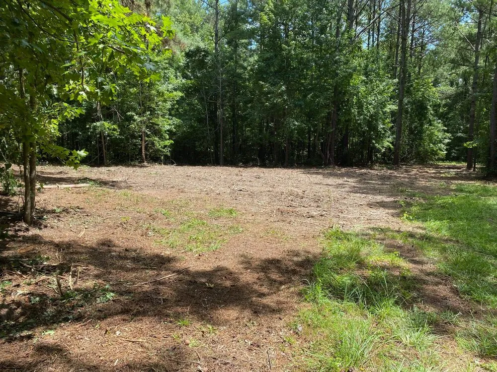 Expert outdoor landscaping for beautiful yards across Eclectic, AL - Atkins Brush Control