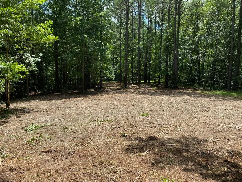 Expert landscape design near you across Eclectic, AL - Atkins Brush Control