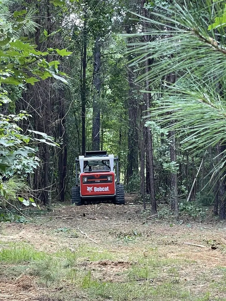 Reliable landscape design in Eclectic, AL - Atkins Brush Control