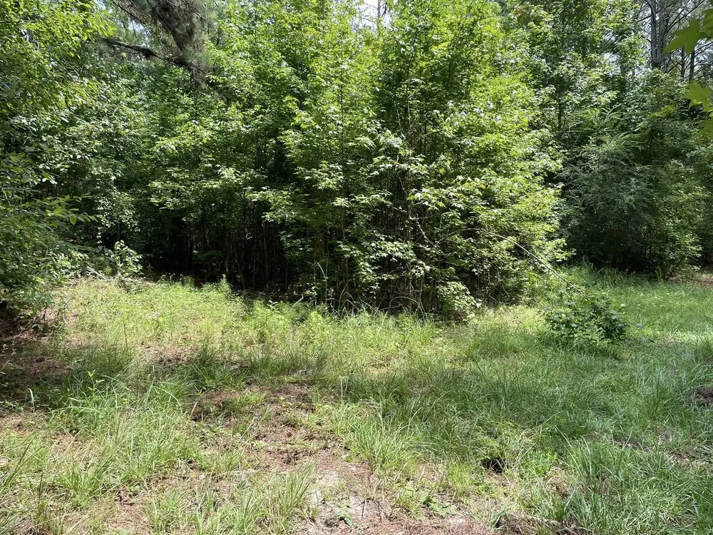 Top-rated landscape installation with custom design in Eclectic, AL by Atkins Brush Control