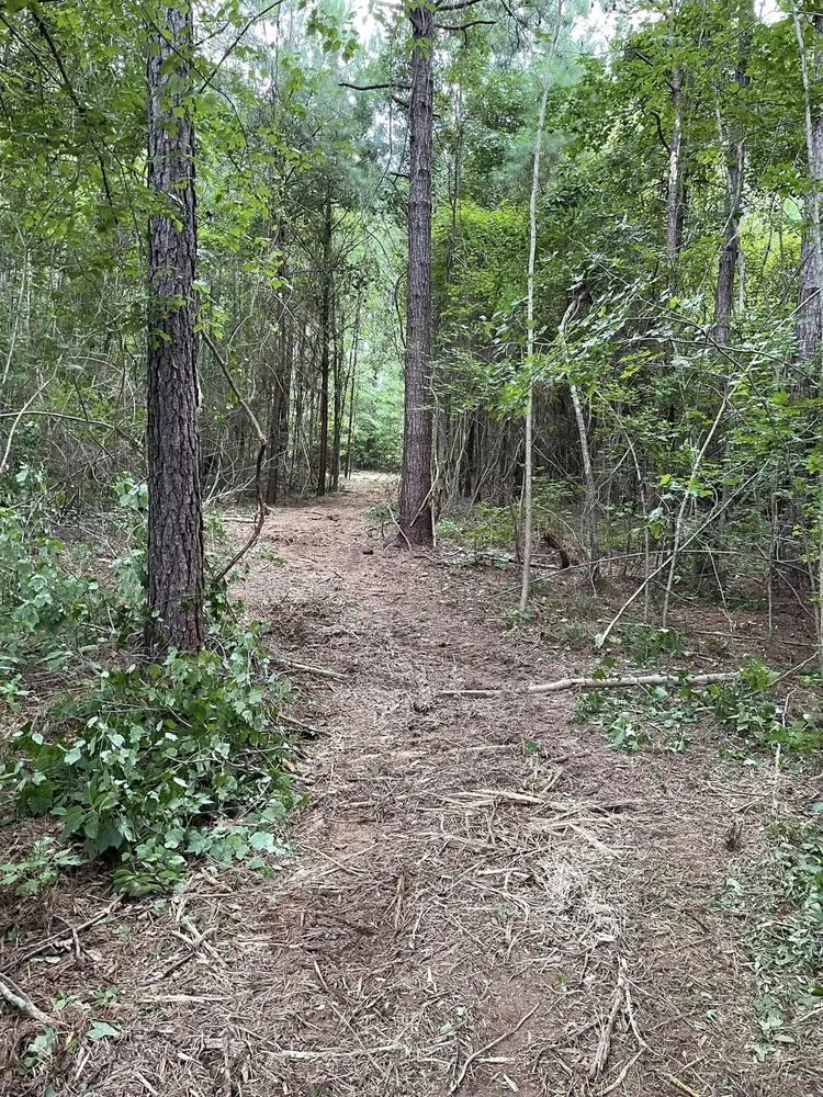 Trusted landscape design in Eclectic, AL by Atkins Brush Control