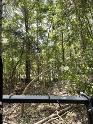 Atkins Brush Control