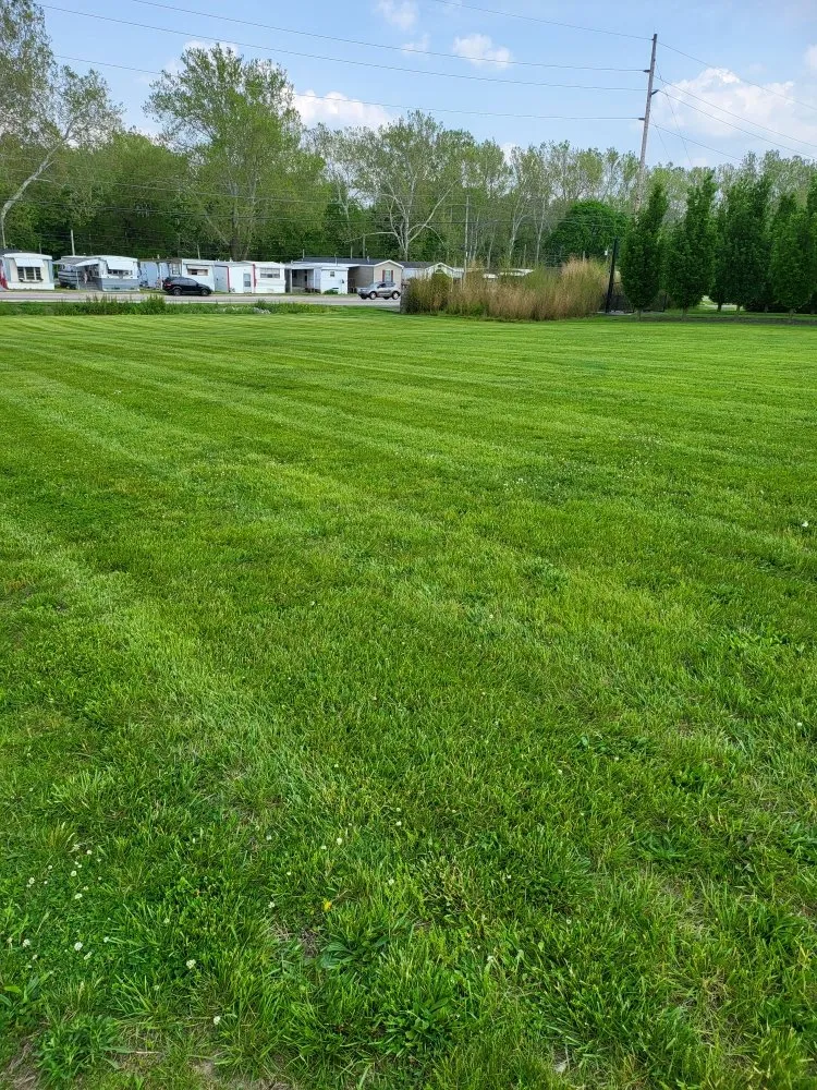 Affordable yard cleanup service experts serving Piqua, OH - Atkins Elite lawncare