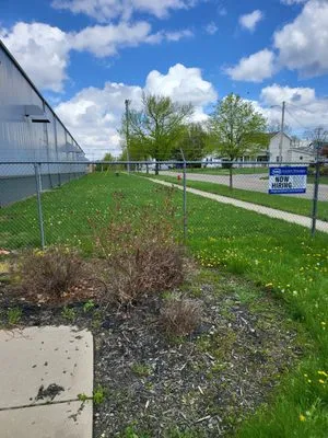 Atkins Elite lawncare Logo