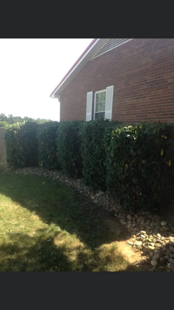 Affordable lawn mowing service for residential properties in Sneedville, TN by Atkins Precision Lawn Care and Landscaping