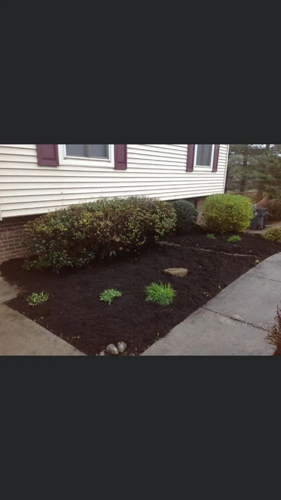 Reliable yard cleanup service near you in Sneedville, TN by Atkins Precision Lawn Care and Landscaping