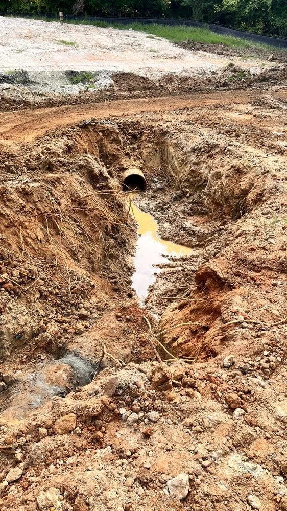 Expert yard cleanup service for beautiful yards in Advance, NC by Atkins Site Works