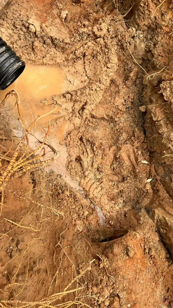 Local garden landscaping experts serving Advance, NC - Atkins Site Works