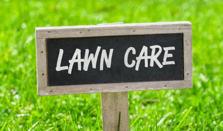 Professional residential landscaping experts serving Cleveland, TX - Atkinson lawn care