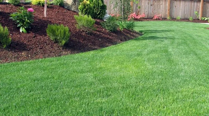 Expert yard maintenance for homes in Cleveland, TX by Atkinson lawn care