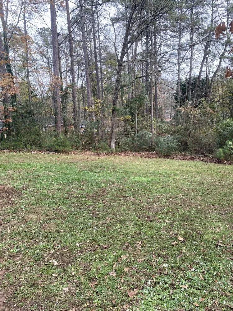 Reliable yard cleanup service for outdoor upgrades across Smyrna, GA - ATL Diamond Landscape