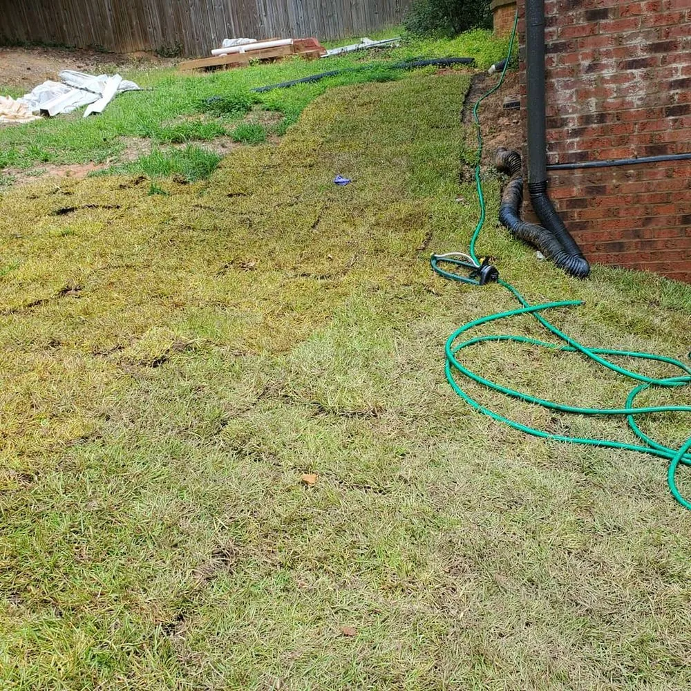 Top-rated yard cleanup service in Decatur, GA - ATL Grass Monkey