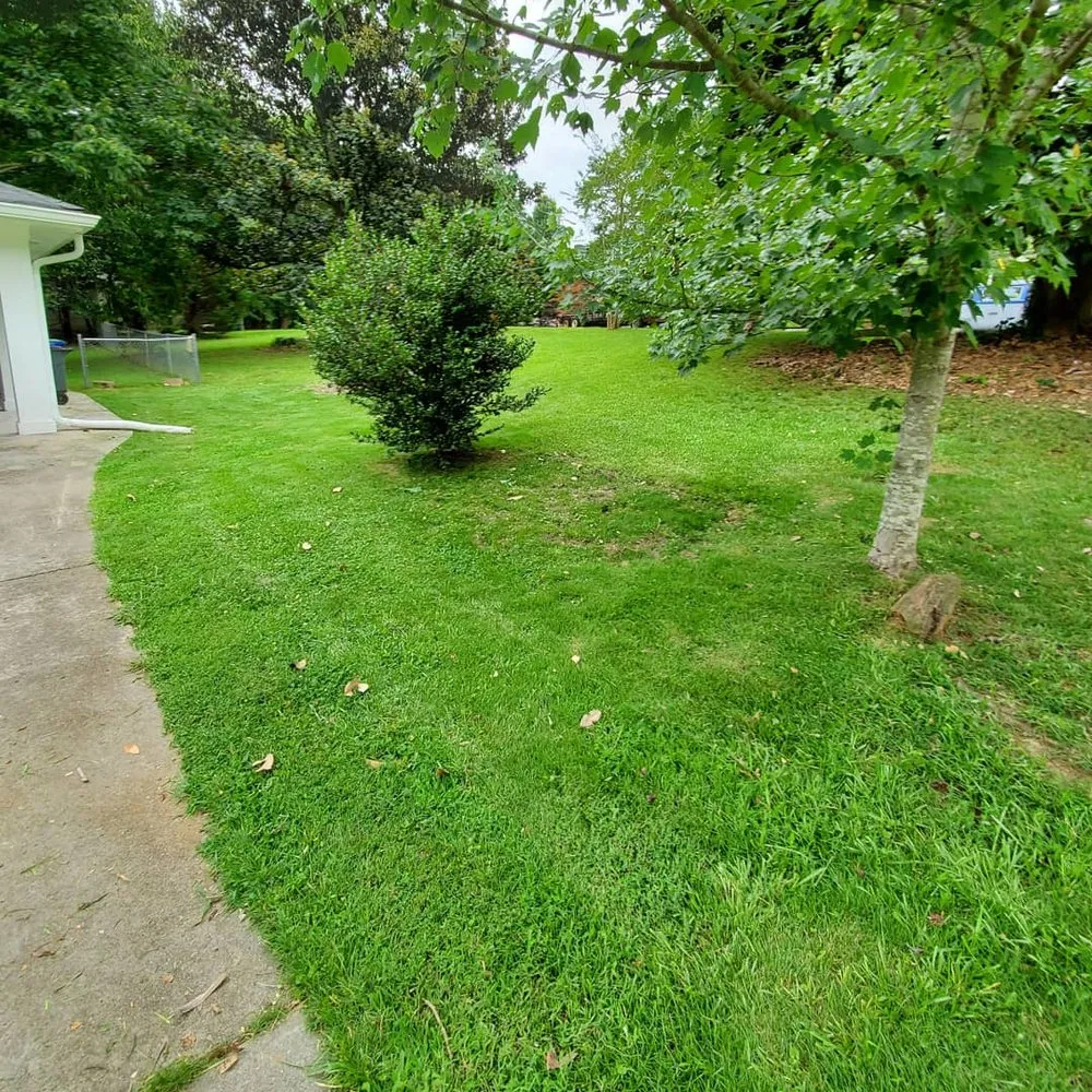 Affordable outdoor landscaping with custom design in Decatur, GA by ATL Grass Monkey