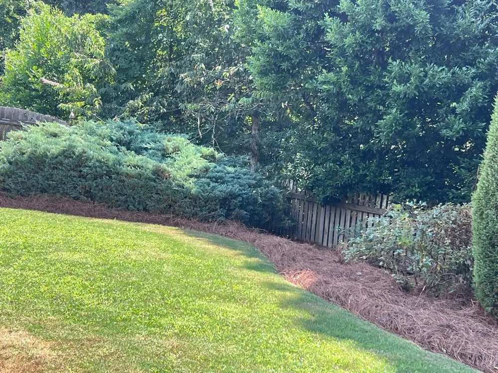 Local outdoor landscaping for year-round maintenance across Buford, GA - ATL Landscaping