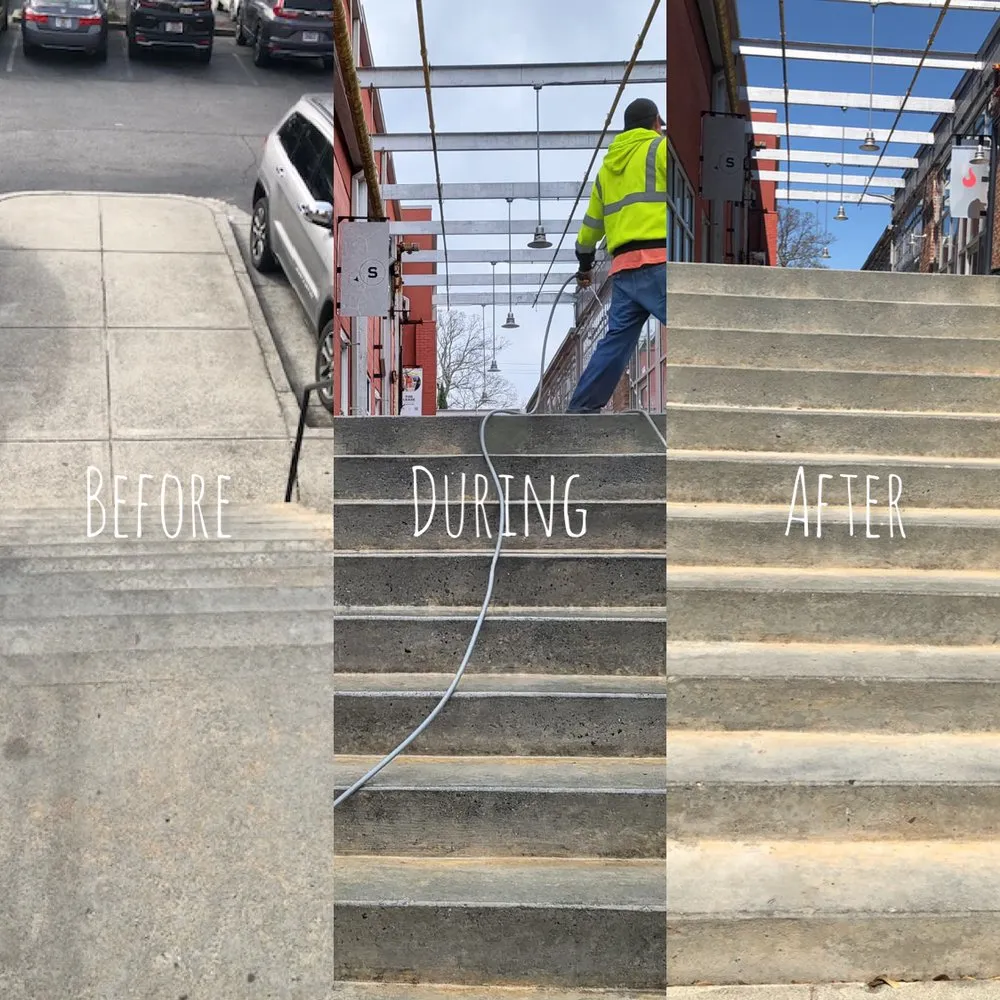 Professional yard maintenance with custom design across Tampa Bay, FL - Atl Landscaping