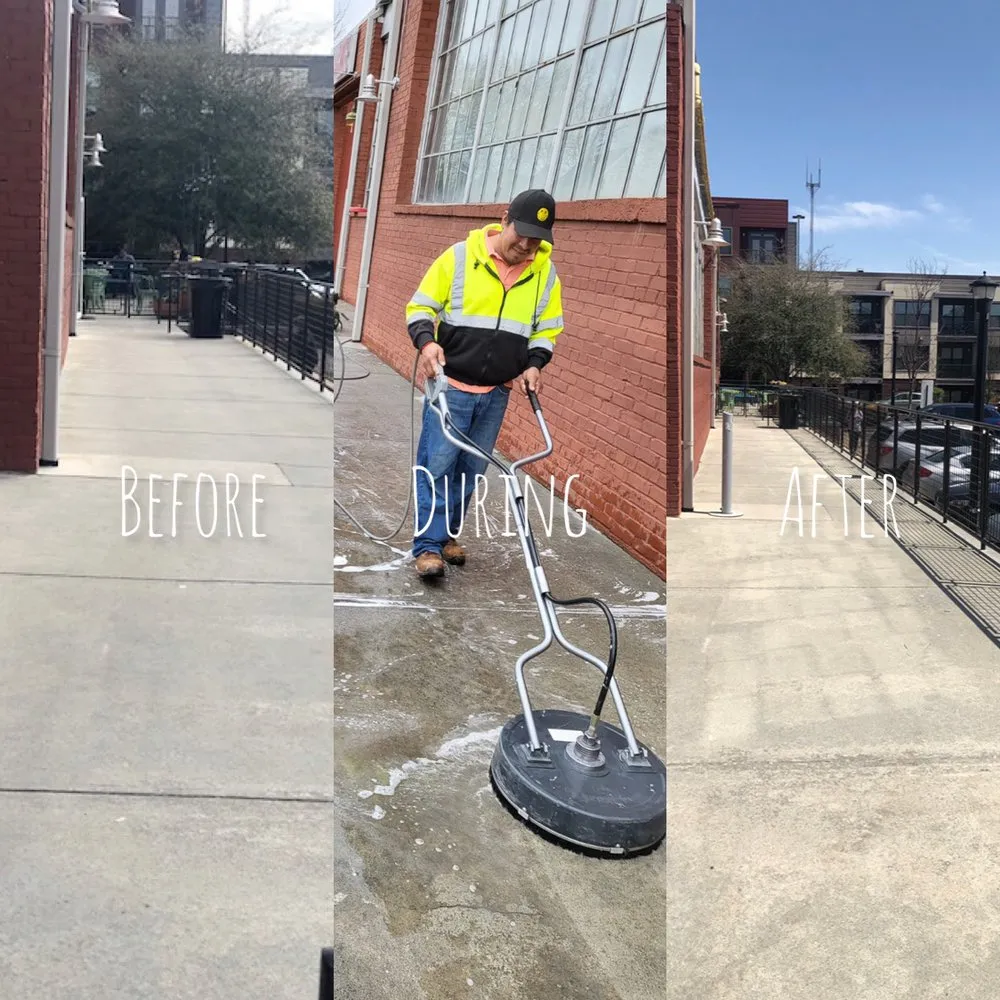 Reliable landscape installation in Tampa Bay, FL by Atl Landscaping