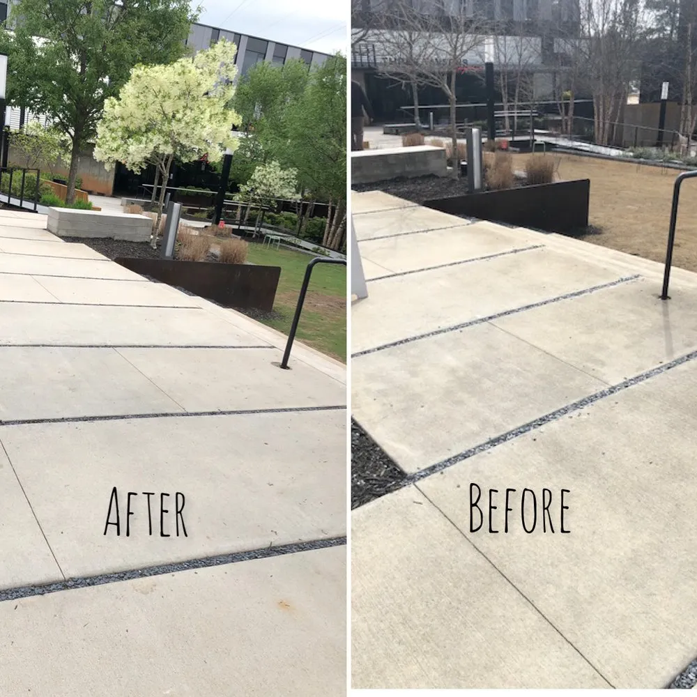 Top-rated residential landscaping experts serving Tampa Bay, FL - Atl Landscaping